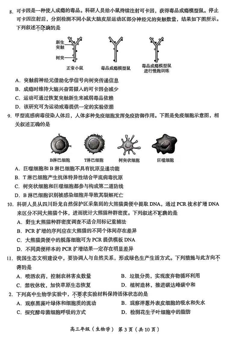 2023年北京市海淀区高三一模生物试题及答案03