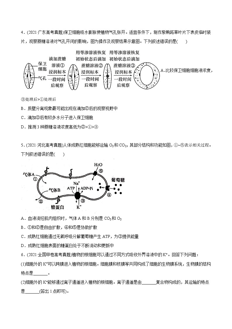 高中生物高考专题02 物质进出细胞、酶和ATP-2021年高考生物真题与模拟题分类训练（学生版）第2页