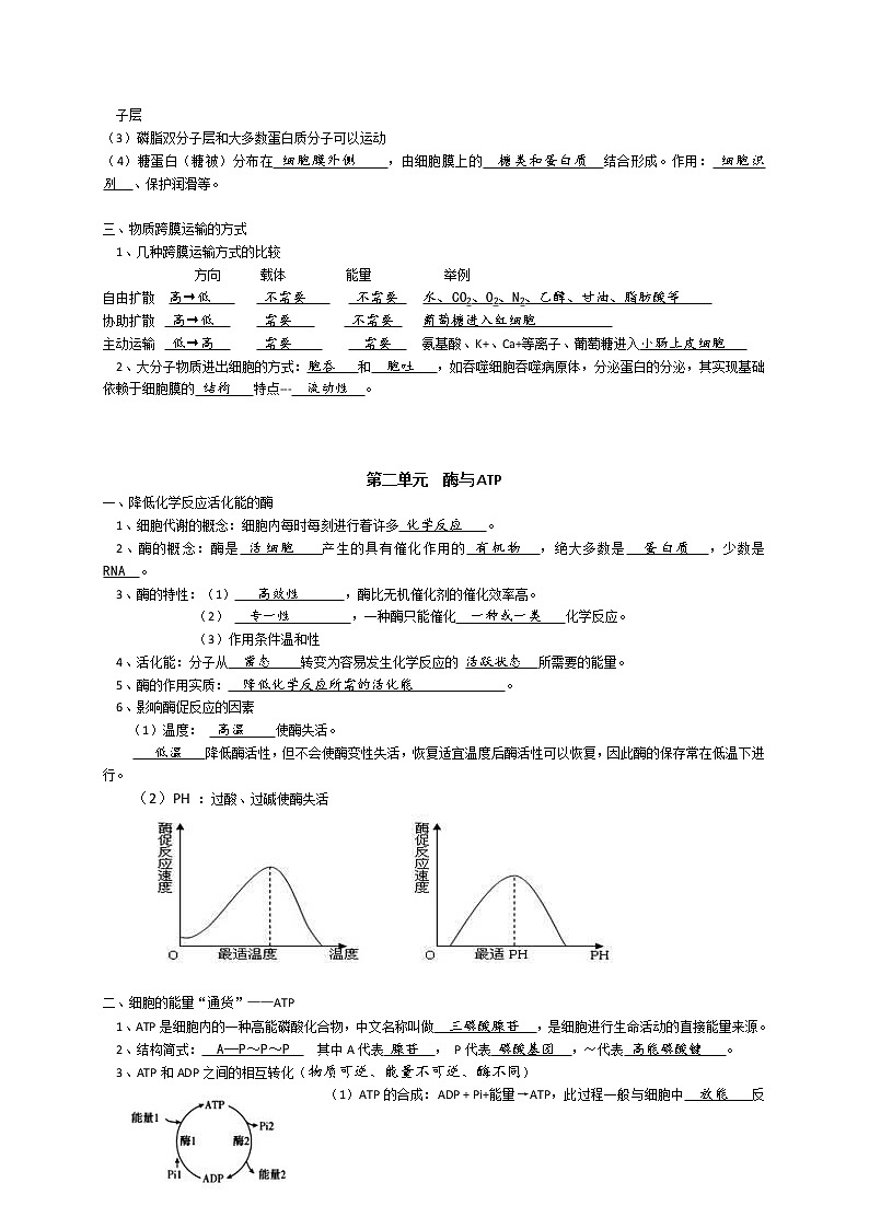 高中生物高考专题2 细胞的代谢-【复习宝典】2021年高考生物必修知识点归纳（背记版）02