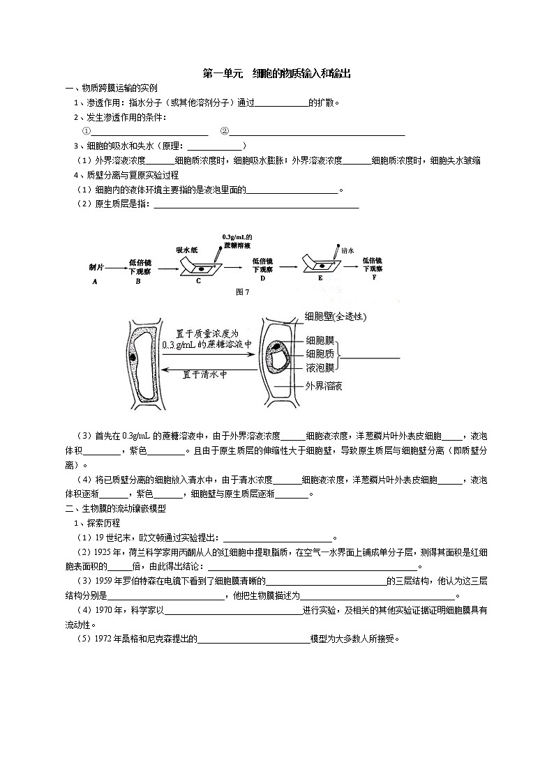 高中生物高考专题2 细胞的代谢-【复习宝典】2021年高考生物必修知识点归纳（默写版）第1页