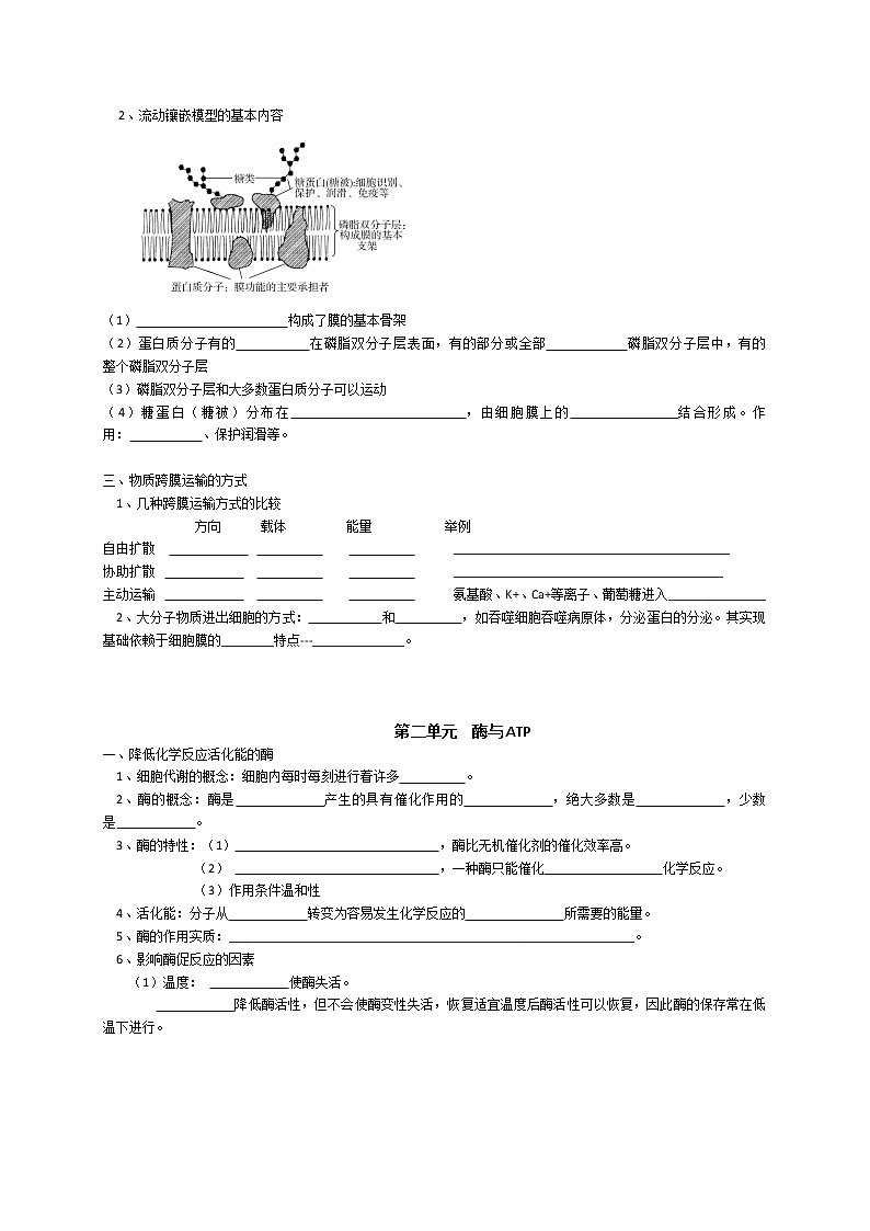 高中生物高考专题2 细胞的代谢-【复习宝典】2021年高考生物必修知识点归纳（默写版）第2页