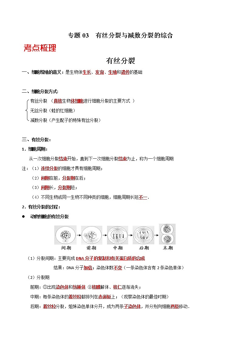 高中生物高考专题03  有丝分裂与减数分裂的综合-备战2021年高考生物核心考点透析（解析版）第1页