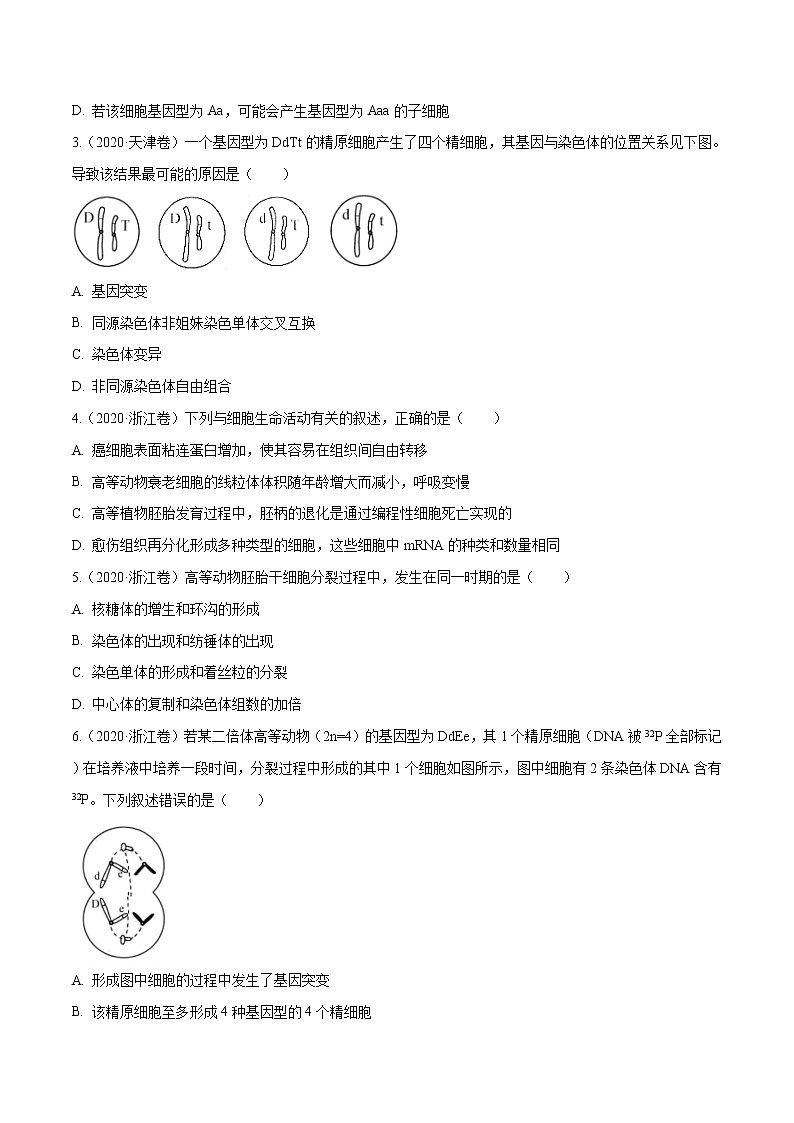 高中生物高考专题03 细胞的生命历程-十年（2011-2020）高考真题生物分项详解（原卷版）02