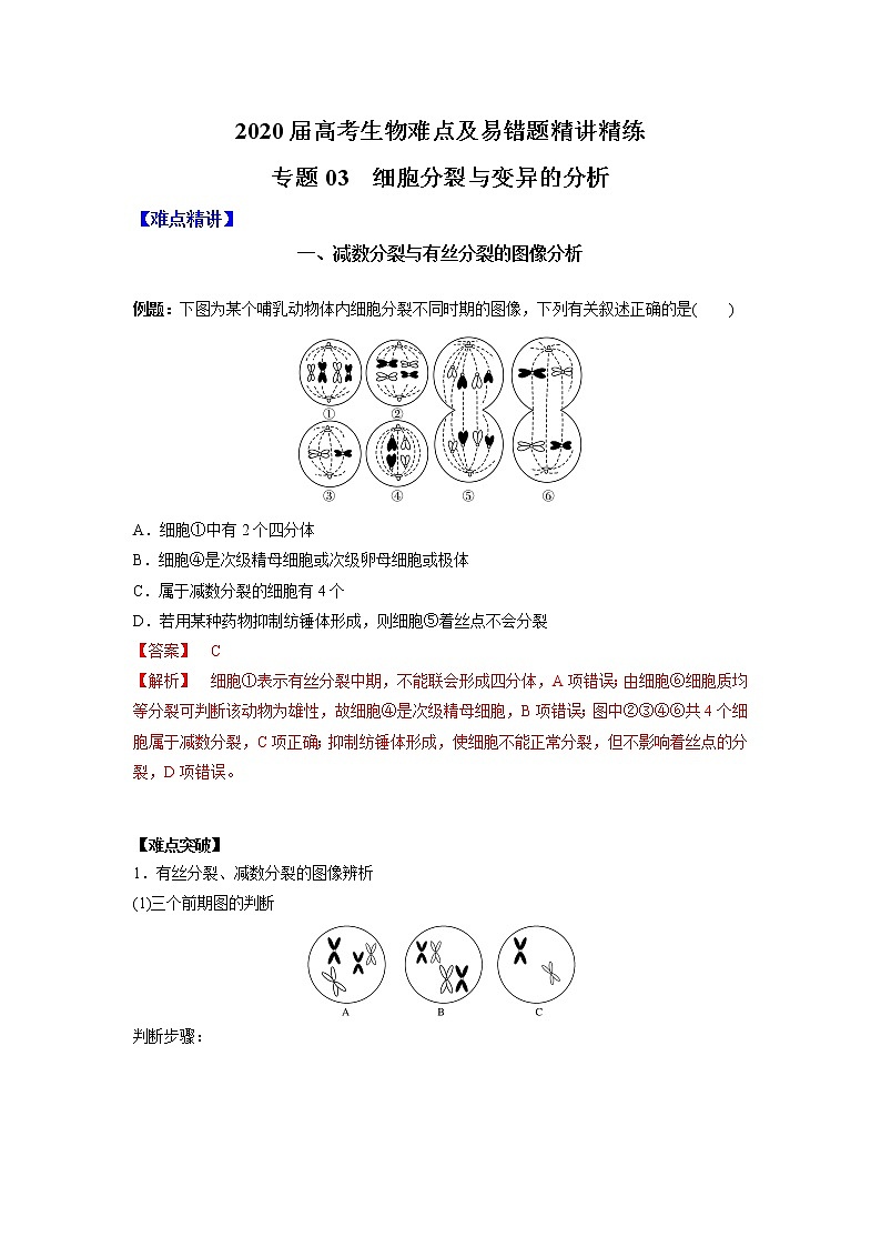 高中生物高考专题03 细胞分裂与变异的分析（解析版）第1页