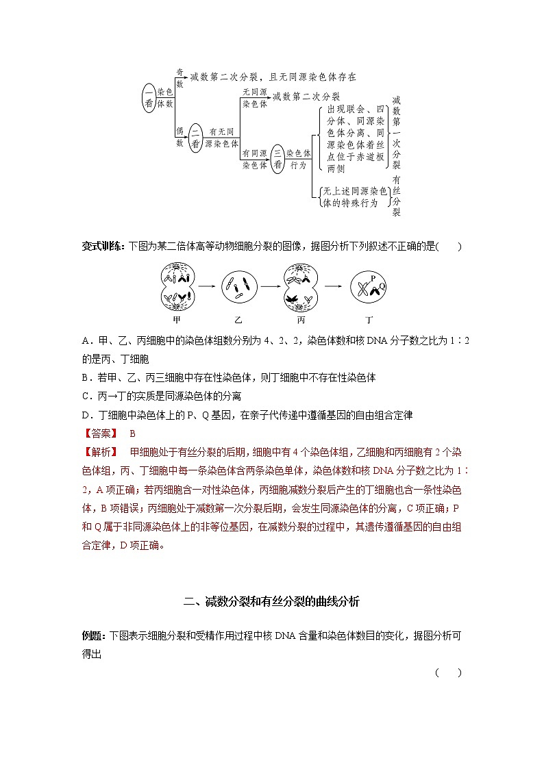 高中生物高考专题03 细胞分裂与变异的分析（解析版）第3页