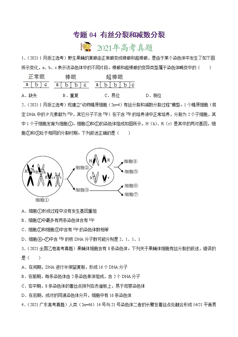 高中生物高考专题04 有丝分裂和减数分裂-2021年高考真题和模拟题生物分项汇编（原卷版）第1页