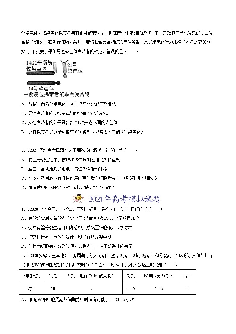 高中生物高考专题04 有丝分裂和减数分裂-2021年高考真题和模拟题生物分项汇编（原卷版）第2页