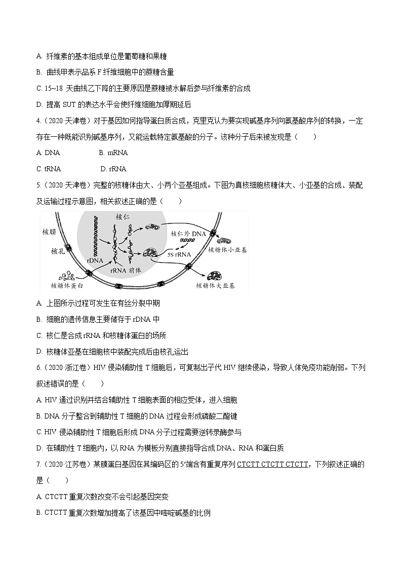 高中生物高考专题04 遗传的分子基础-十年（2011-2020）高考真题生物分项详解（原卷版）02