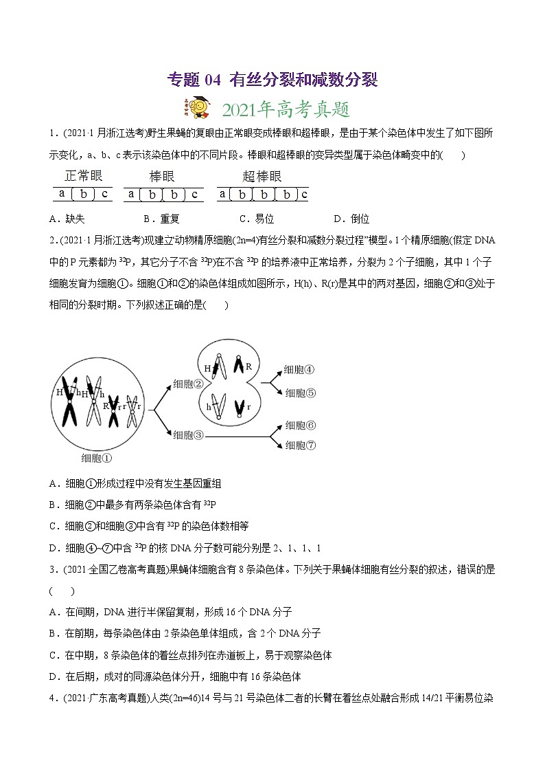 高中生物高考专题04 有丝分裂和减数分裂-2021年高考生物真题与模拟题分类训练（学生版）第1页