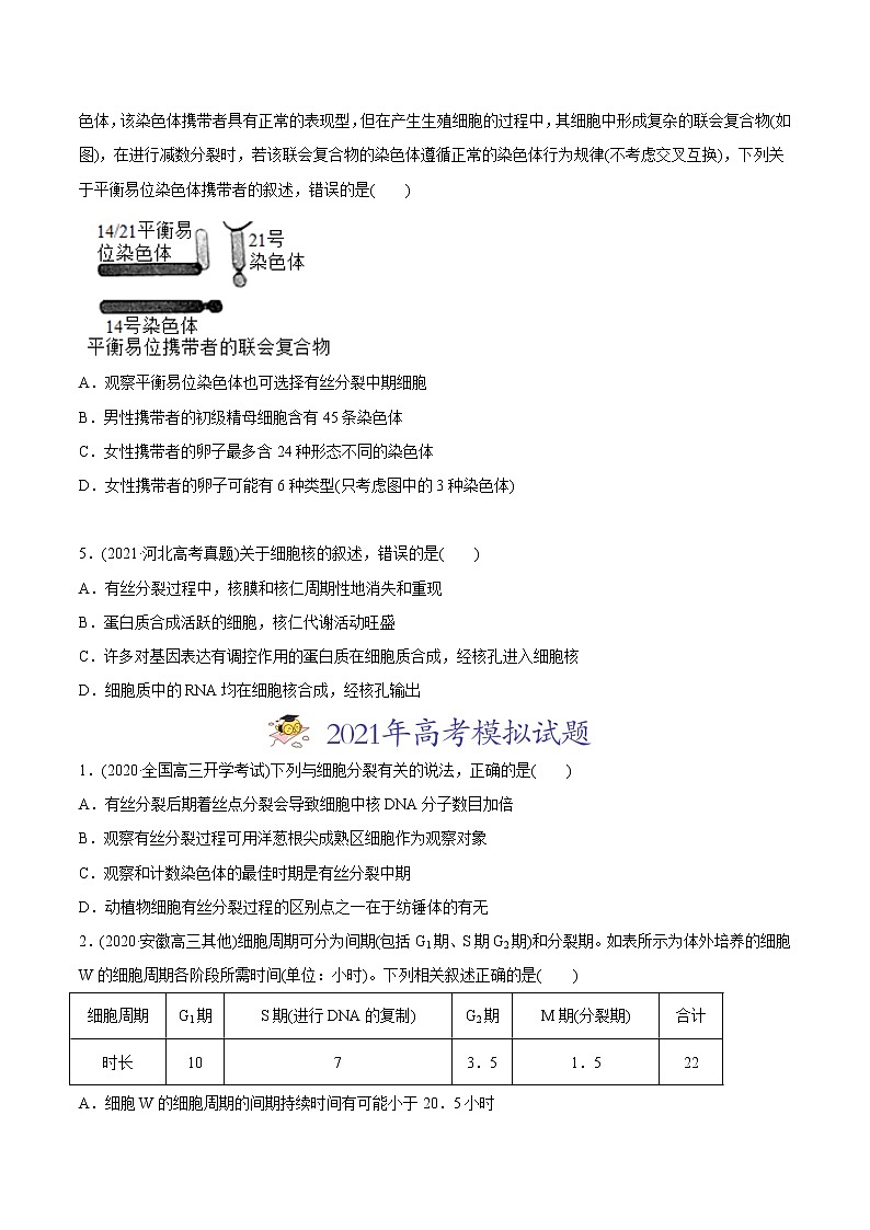 高中生物高考专题04 有丝分裂和减数分裂-2021年高考生物真题与模拟题分类训练（学生版）第2页