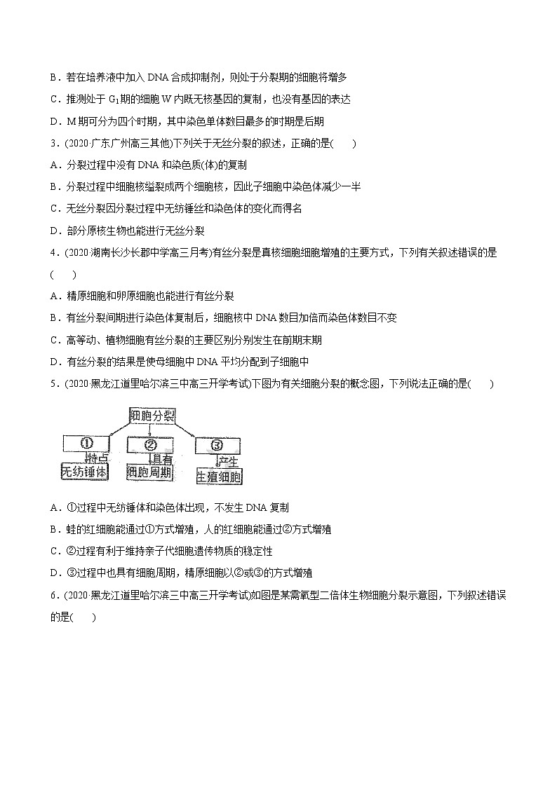 高中生物高考专题04 有丝分裂和减数分裂-2021年高考生物真题与模拟题分类训练（学生版）第3页