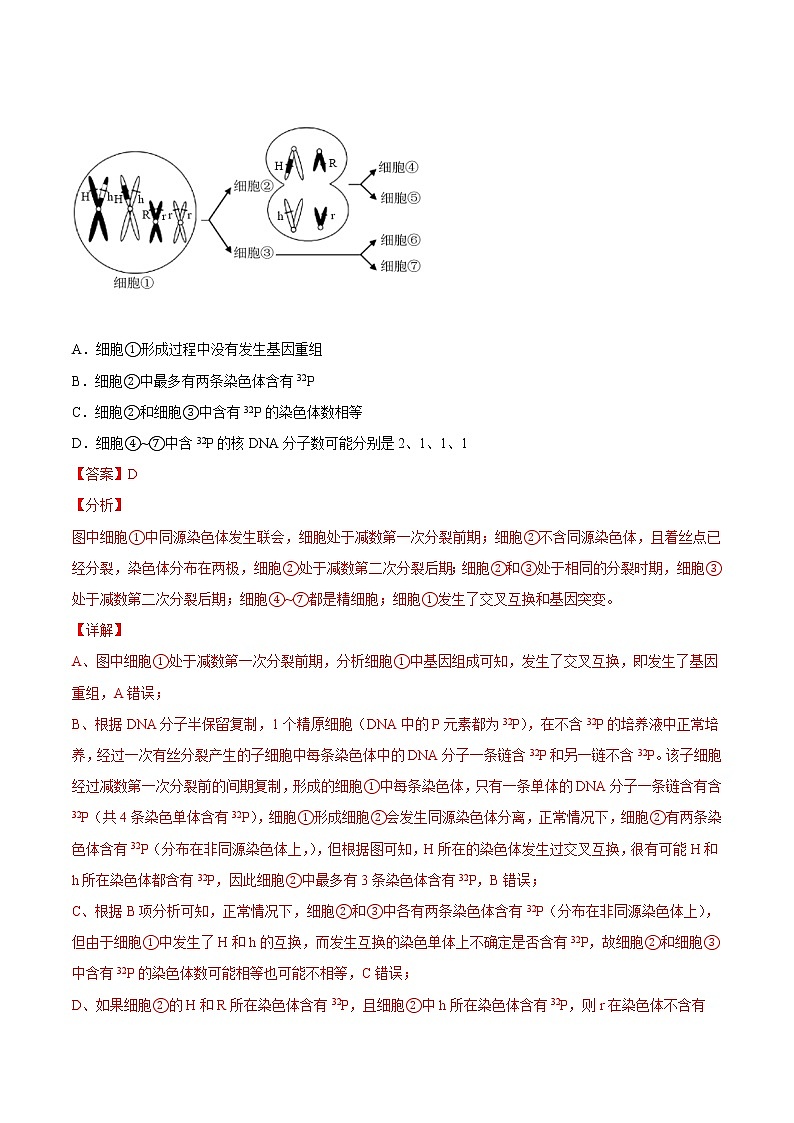 高中生物高考专题05 细胞的分化、衰老、凋亡及癌变-2021年高考真题和模拟题生物分项汇编（解析版）02