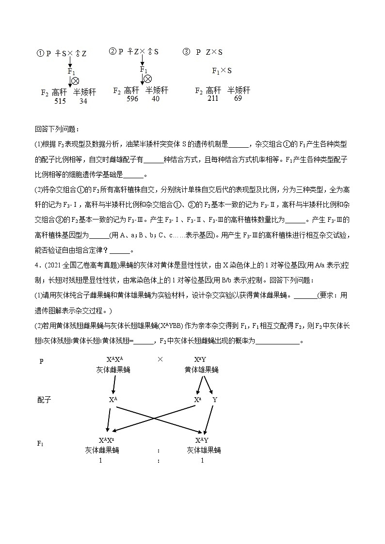 高中生物高考专题08 基因的自由组合定律-2021年高考生物真题与模拟题分类训练（学生版）第2页