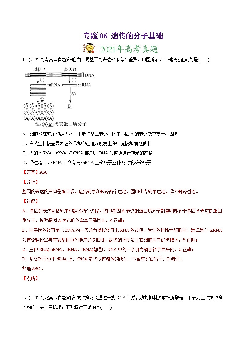 高中生物高考专题06 遗传的分子基础-2021年高考生物真题与模拟题分类训练（教师版含解析）第1页