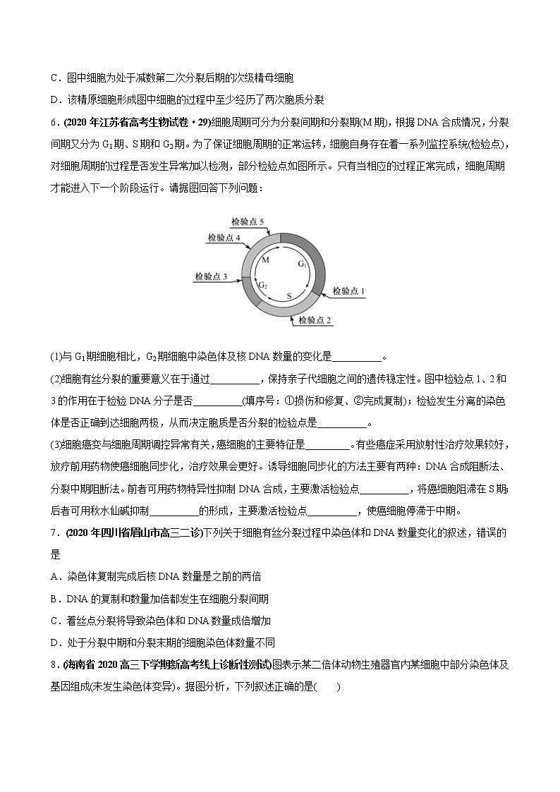 高中生物高考专题05 有丝分裂和减数分裂-2020年高考真题和模拟题生物分项汇编（学生版）03