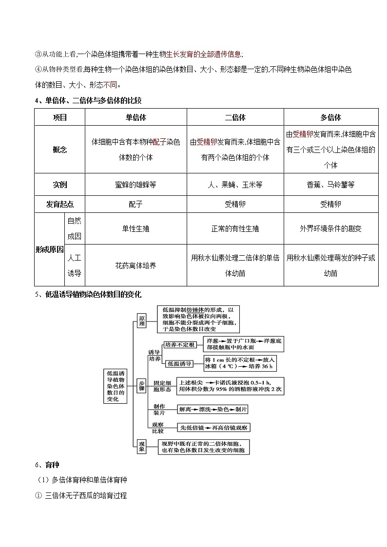 高中生物高考专题10 变异、育种和进化-备战2021年高考生物专题提分攻略（原卷版）第2页