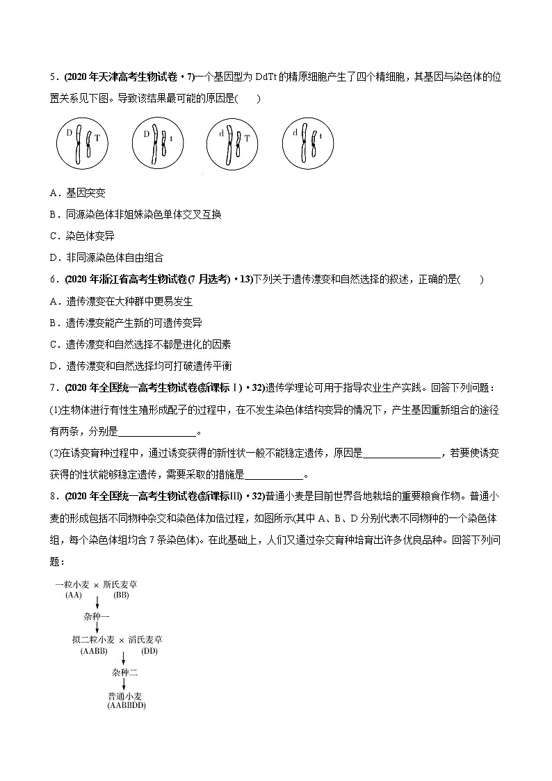 高中生物高考专题11 变异、育种与进化-2020年高考真题和模拟题生物分项汇编（学生版）第2页