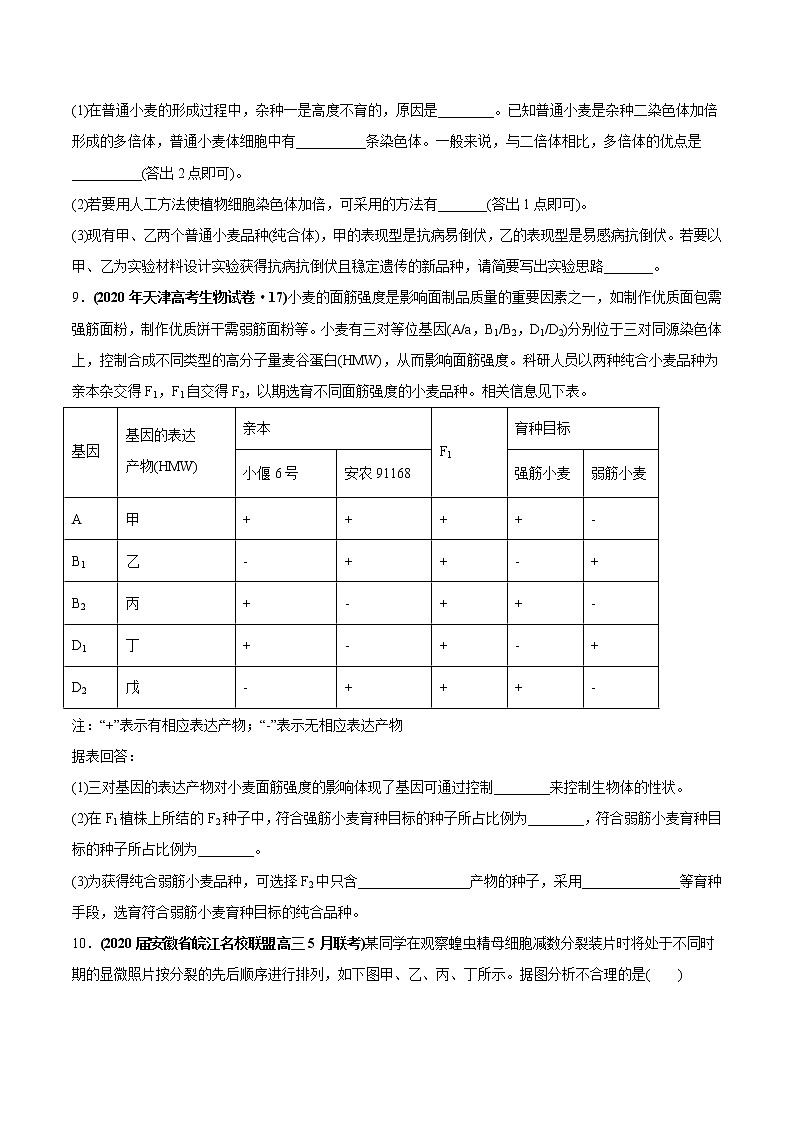 高中生物高考专题11 变异、育种与进化-2020年高考真题和模拟题生物分项汇编（学生版）第3页