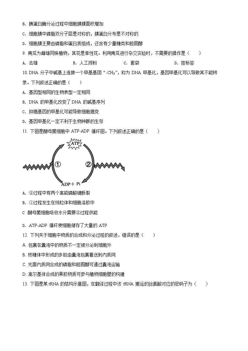 2022湖州高一下学期期末考试生物含解析02