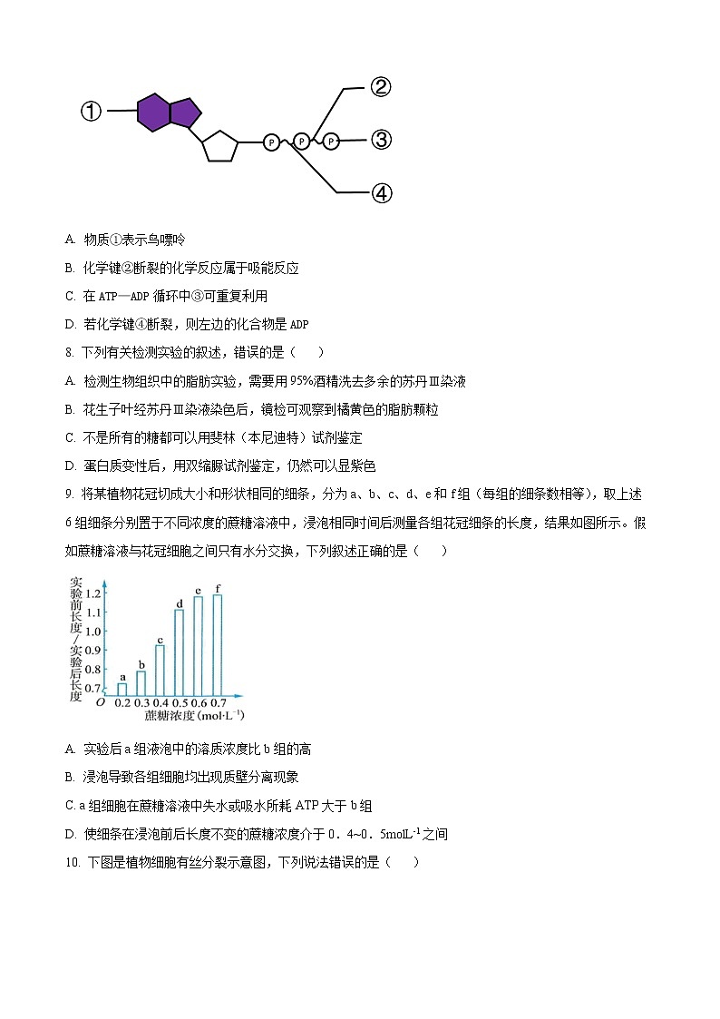 2022宁波慈溪高一下学期期末考试生物含解析02