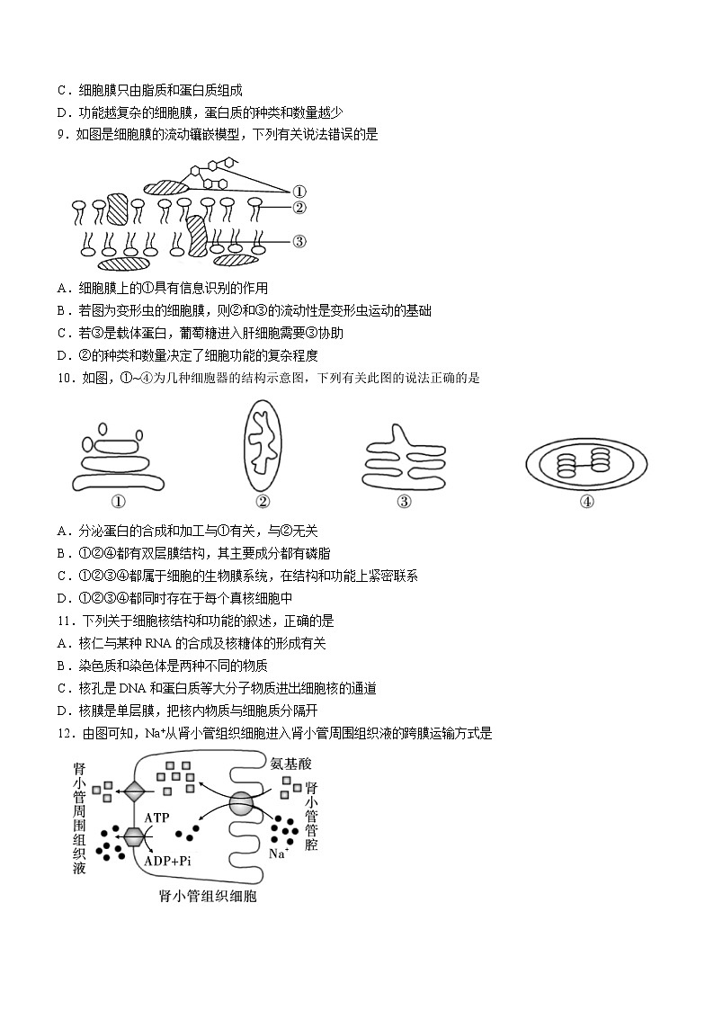 2023保山高（完）中C、D类学校高一下学期3月联考生物试题含答案第2页