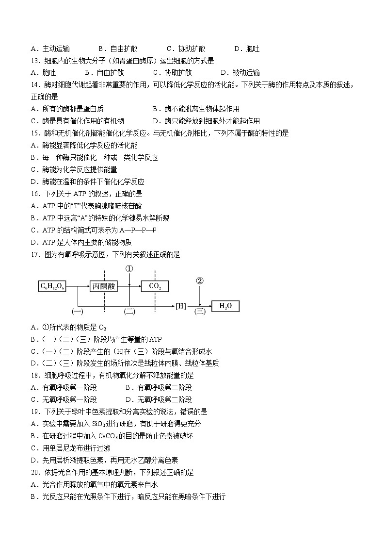 2023保山高（完）中C、D类学校高一下学期3月联考生物试题含答案第3页