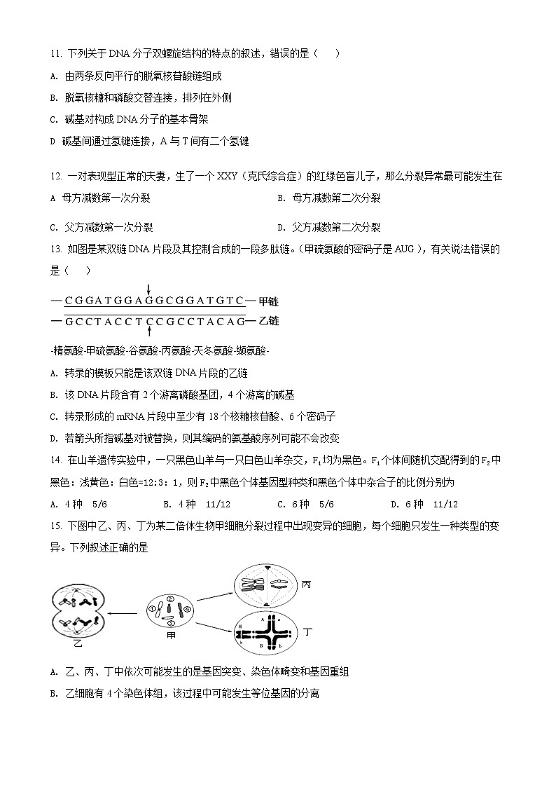2021南充高级中学高一下学期期末模拟考试生物含解析03