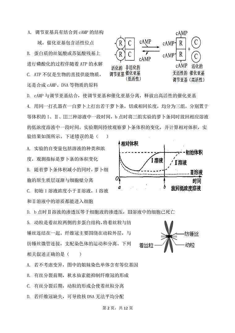 山东滕州一中2022-2023学年高三上学期10月月考  生物试题  PDF版无答案第2页
