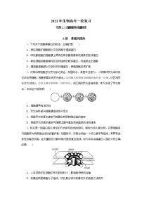 高中生物高考专题2 1 细胞膜和细胞核（必刷试题）-2021年高考生物大一轮复习紧跟教材（原卷版）