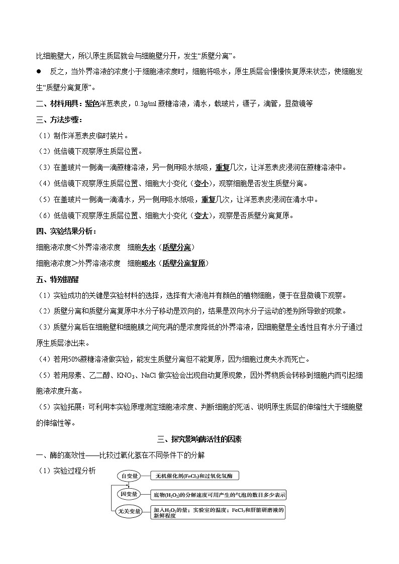 高中生物高考专题19 实验汇总-2021年高考生物一轮复习知识点梳理与归纳03