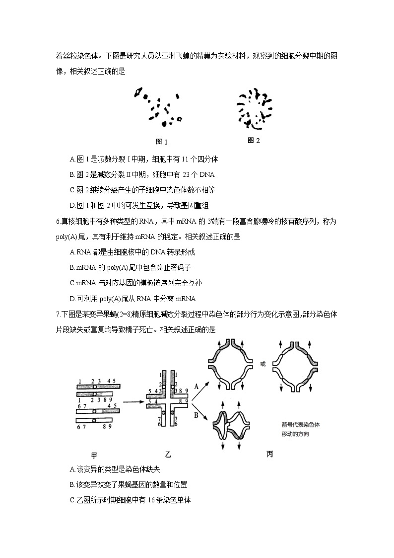 江苏省苏北七市2023届高三生物下学期第一次调研试卷（南通一模）（Word版附答案）02