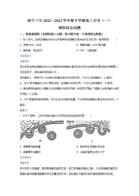 广西南宁市三中2022-2023学年高三生物下学期开学考试试题（Word版附解析）