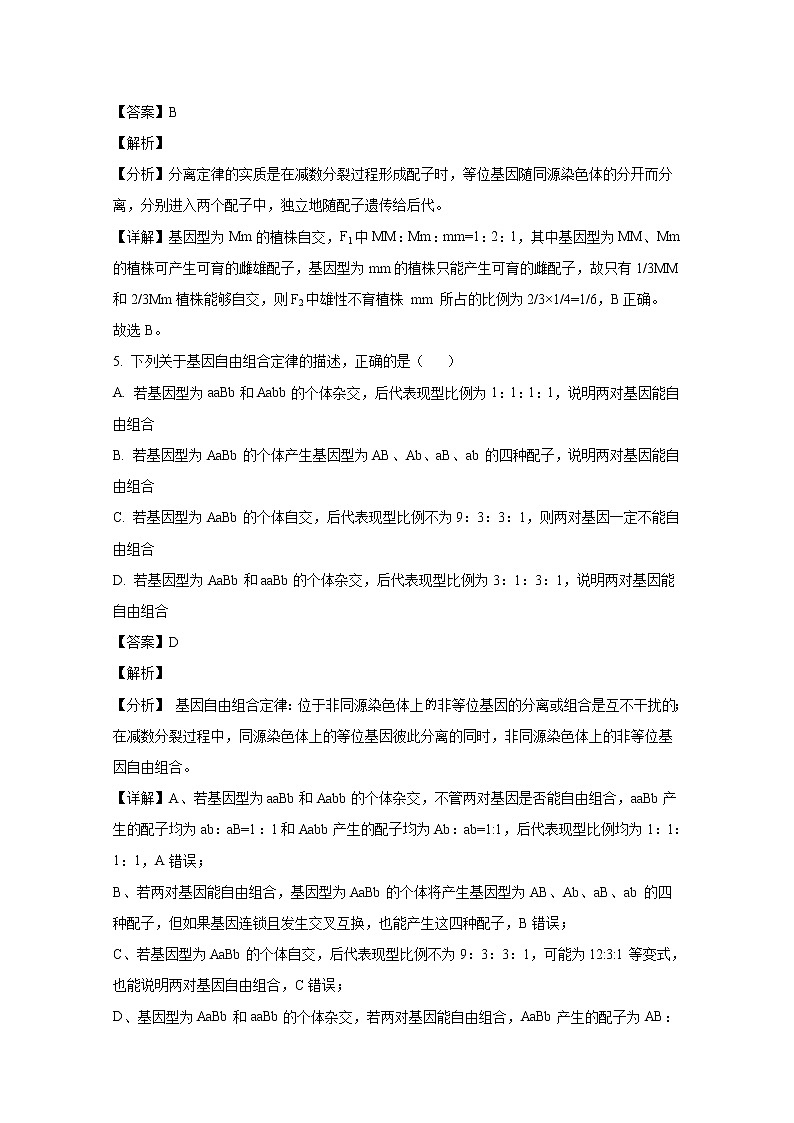 山东省烟台市招远第一中学2022-2023学年高一生物下学期期中考试试题（Word版附解析）第3页