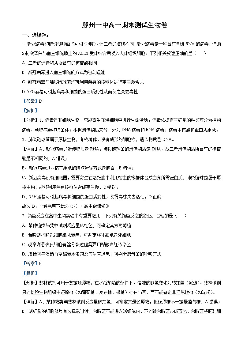 2022-2023学年山东省滕州市第一中学高一上学期期末考试生物含答案第1页