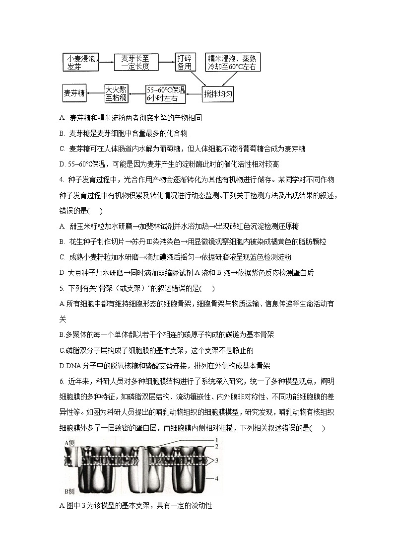 河南省周口市2022-2023学年上期高一期末质量检测生物试题含答案第2页