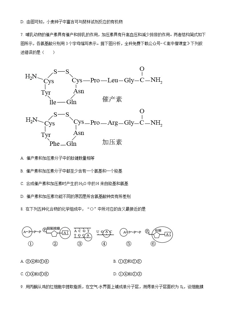 2022-2023学年广东省广州市执信中学高一上学期期末考试生物含答案第3页
