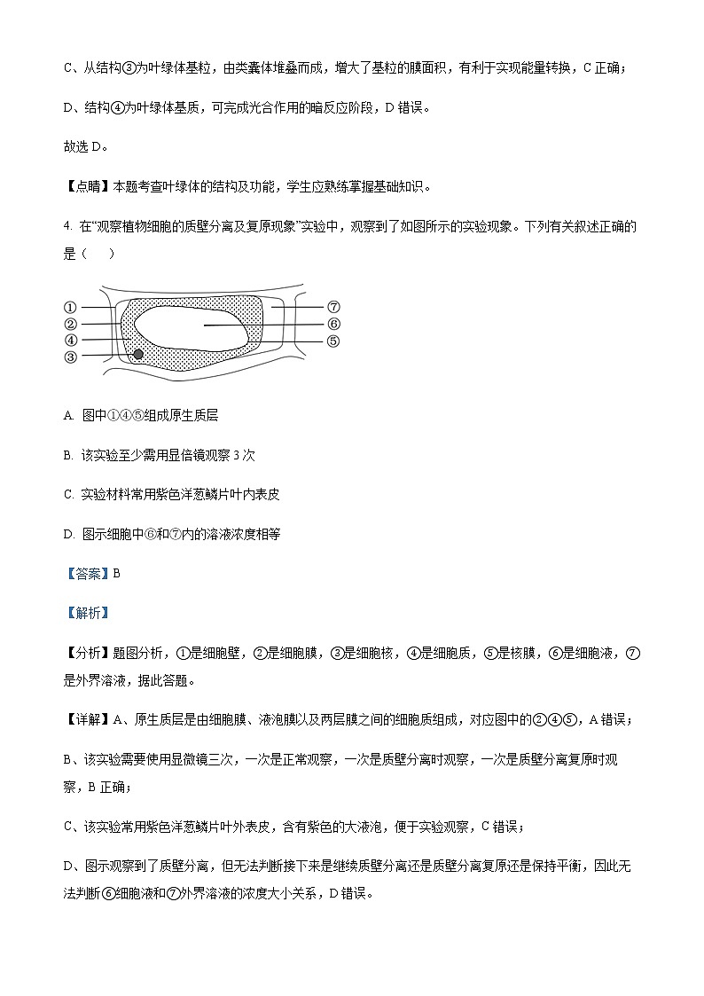 2022-2023学年广东省茂名市电白区高一上学期期末生物试题含解析03