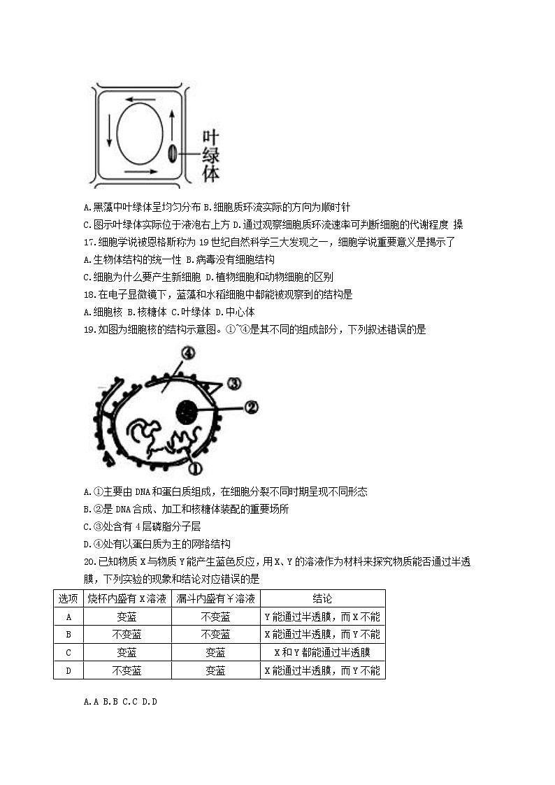 2022-2023学年浙江省三校高一上学期10月联考（月考）生物试卷含答案03