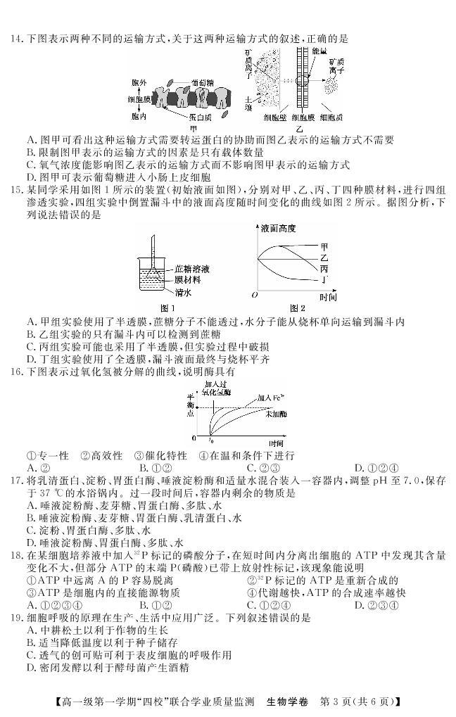 2022-2023学年广东四校大联考（月考）高一上学期生物试题PDF版含答案03