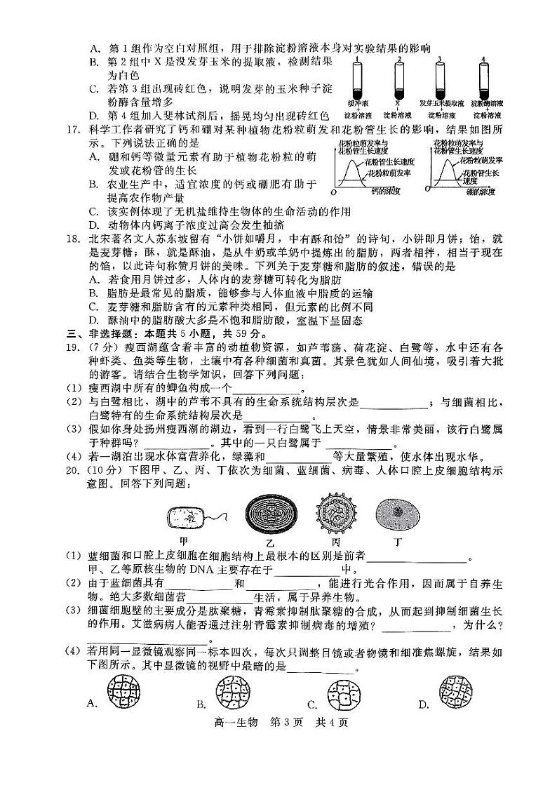 2022-2023学年河北省沧州市部分学校高一上学期第一次阶段测试（月考）生物试题PDF版含答案第3页