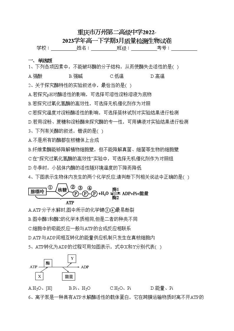 重庆市万州第二高级中学2022-2023学年高一下学期3月质量检测生物试卷（含答案）第1页