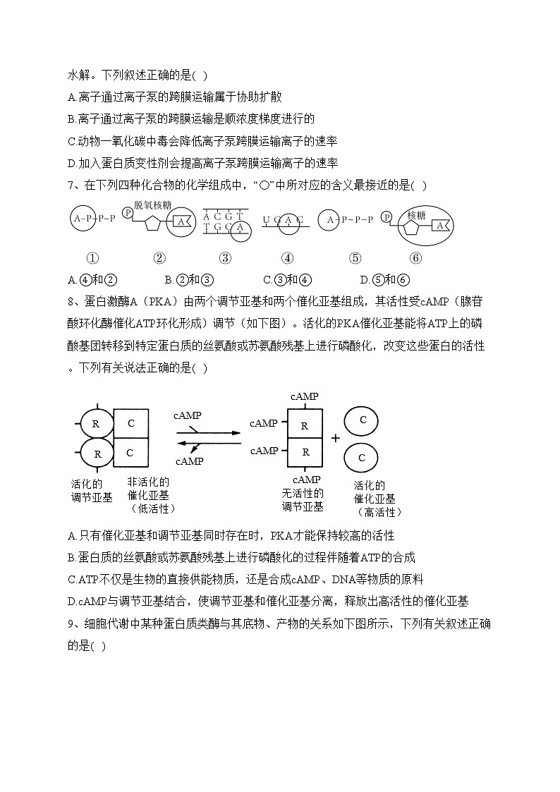 重庆市万州第二高级中学2022-2023学年高一下学期3月质量检测生物试卷（含答案）第2页
