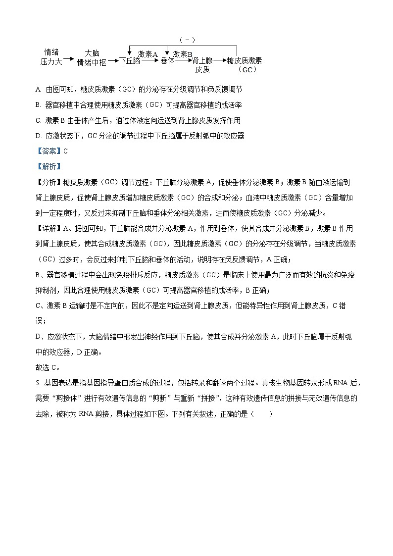 四川省宜宾市2022-2023学年普通高中高三第二次诊断测试理综生物试题  Word版含解析第3页