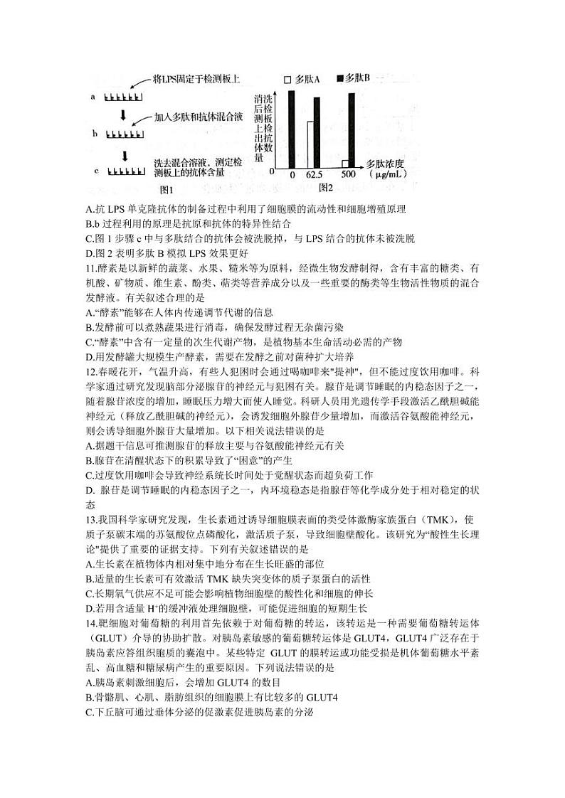 山东省新高考2023届新高考联合质量测评高三3月联考 生物第3页