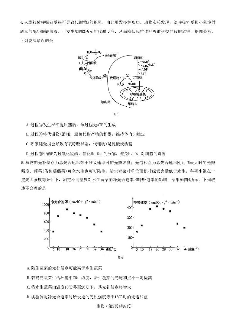 重庆市第八中学2023届高考适应性月考卷（七）生物试题第2页
