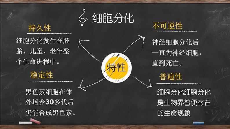 高中生物高考专题18 细胞的生命历程-2021年高考生物一轮复习知识精讲课件第7页