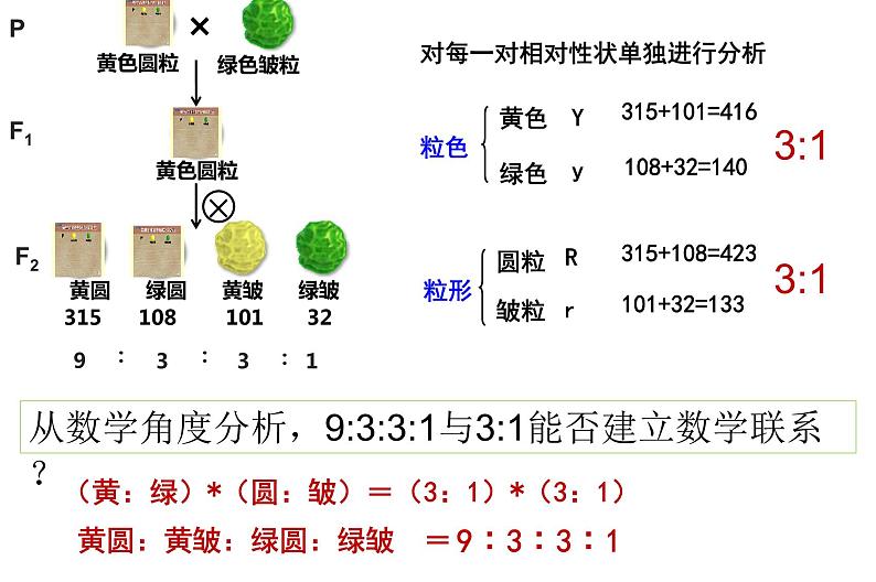 高中生物高考专题21 基因自由组合定律-2021年高考生物一轮复习知识精讲课件第2页