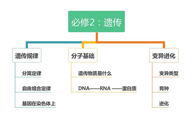 高中生物高考专题20 基因分离定律-2021年高考生物一轮复习知识精讲课件第2页