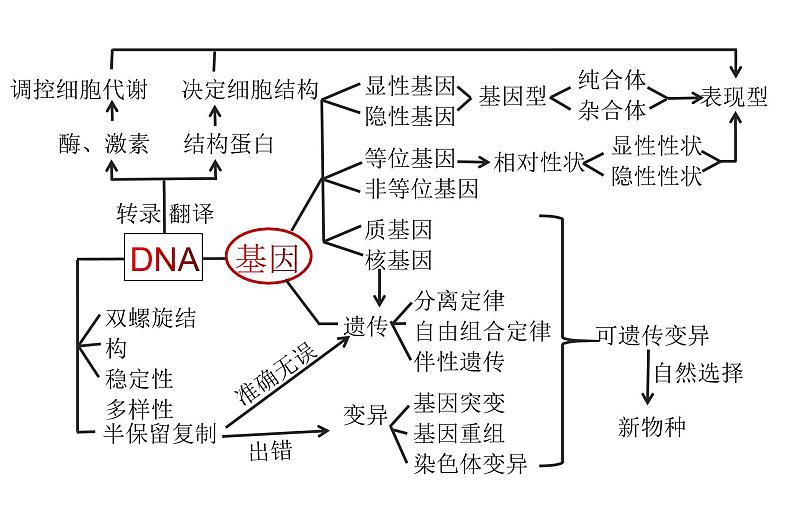 高中生物高考专题20 基因分离定律-2021年高考生物一轮复习知识精讲课件第3页