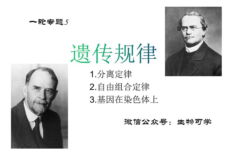 高中生物高考专题20 基因分离定律-2021年高考生物一轮复习知识精讲课件第4页